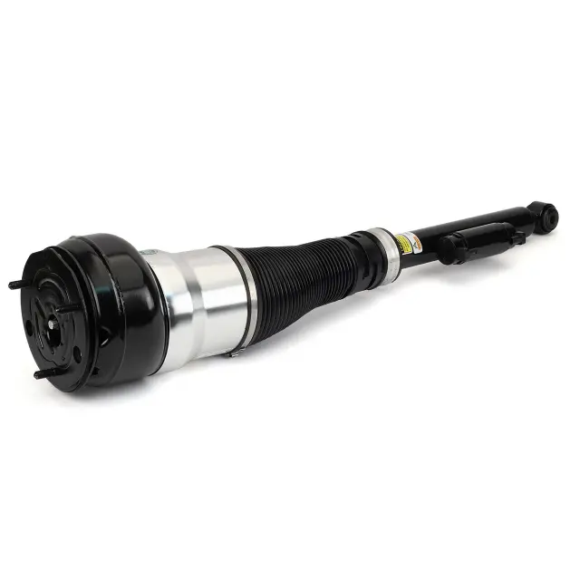 AS3360 - Suspension &amp; Steering: Arnott Air Suspension Strut for Arnott Image
