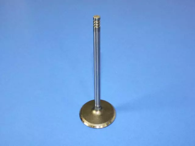 Intake Valve, Right Cylinder Head - Mopar (53022087AD)