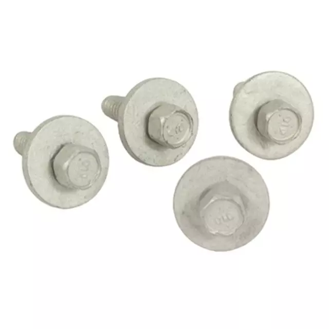 Filler Pipe Screw - Ford (W713976-S439)