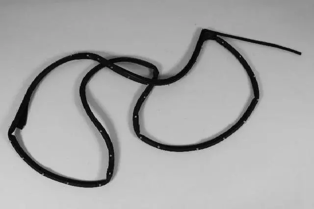 Rear Door Opening Weatherstrip, Right - Mopar (55399186AG)