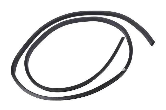 Sunroof Window Seal - GM (23455110)