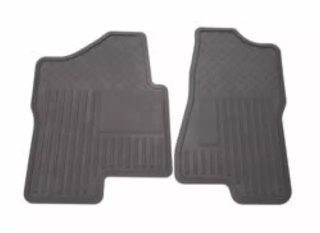 Floor Mats, All Weather, Rear - GM (19166602)