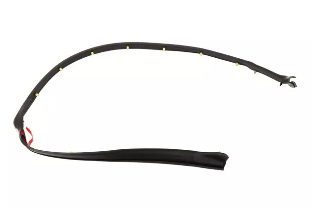 Rear Driver Side Door Rear Lower Auxiliary Sealing Strip - GM (22754387)