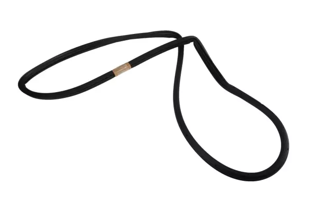 25949077 - : Liftgate Window Weatherstrip for GM Image