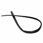 YL3Z1503110AA - Body: Weatherstrip for Ford: Expedition, F-150, F-150 Heritage, F-250 | Lincoln: Blackwood, Navigator Image