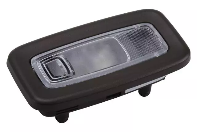 Very Dark Atmosphere Driver Side Roof Rail Rear Seat Position Reading and Courtesy Lamp - GM (84699079)