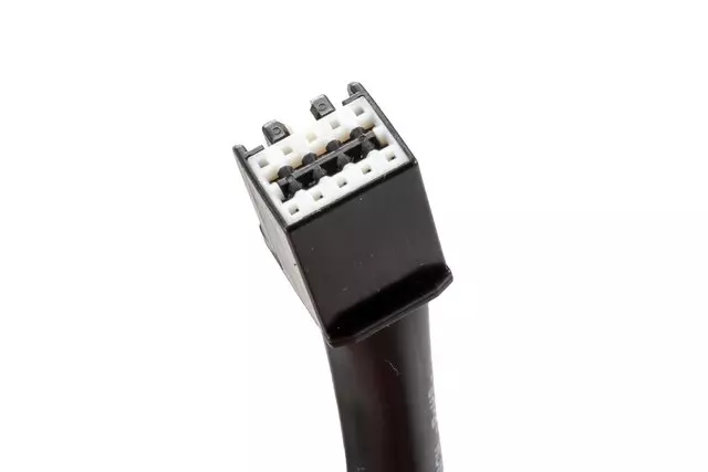 Rear License Plate Lamp - GM (95270498)