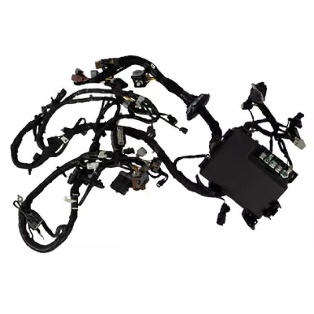 Wire Assembly - Ford (FL3Z-12A581-BX)