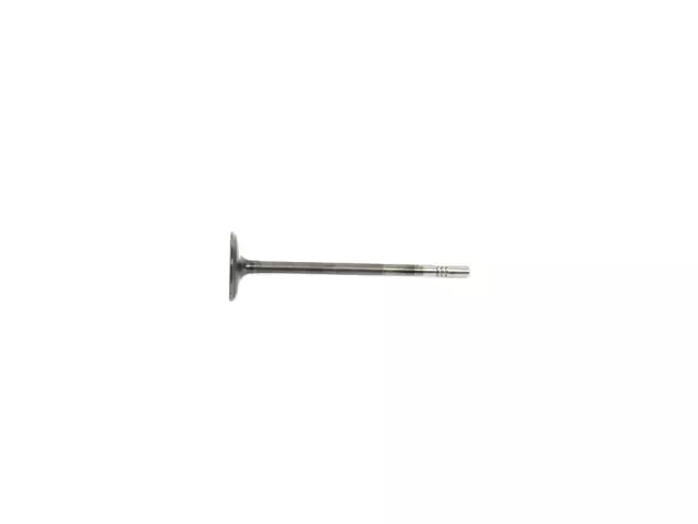 5048155AB - Engine: Intake Valve for Mopar Image