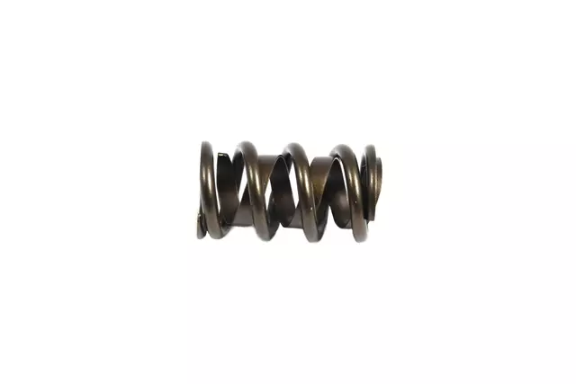 Valve Spring - Mopar (P4876062)