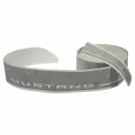 AR3Z6320001BF - Body: Stripe for Ford: Mustang Image