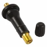 TPMS76 - Electrical: Motorcraft™ Tire Pressure Monitoring System (TPMS) Sensor Valve Assembly for Ford: E-Transit, Edge, Explorer, F-150, F-250 Super Duty, F-350 Super Duty, Mustang, Mustang Mach-E, Police Interceptor Utility, Transit-150, Transit-250, Transit-350, Transit-350 HD | Lincoln: MKX Image