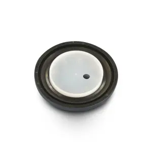                                     HEMI Front Crank Seal
                                