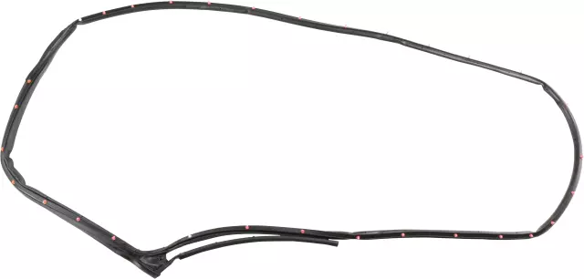 828315RB0A - Body: Door Weather-Strip for Nissan: Kicks, Kicks Play Image