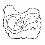 8C3Z6710A - Engine: Oil Pan Gasket for Ford: F-250 Super Duty Image