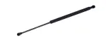 613132 - : Liftgate Lift Support for Tuff Support Image