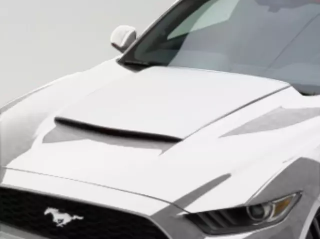 Exterior Trim, Hood Scoop - Ford (VHR3Z-16C630-AJ)