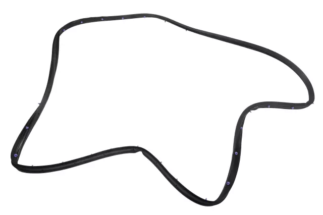 84220316 - Body: Door Weather-strip for Chevrolet: Cruze Image