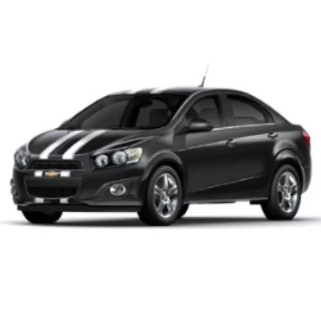 Custom Graphics, Dual Stripes Vinyl Wrap - GM (19301462)