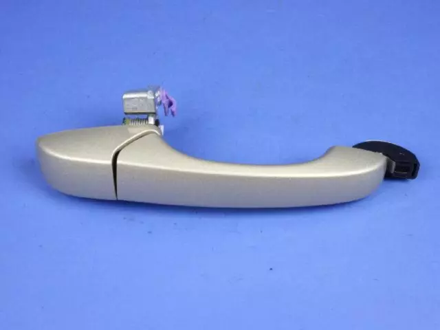 1NA54HWLAF - Body: Handle, Outside for Chrysler: Town &amp; Country | Dodge: Grand Caravan | Ram: C/V Image