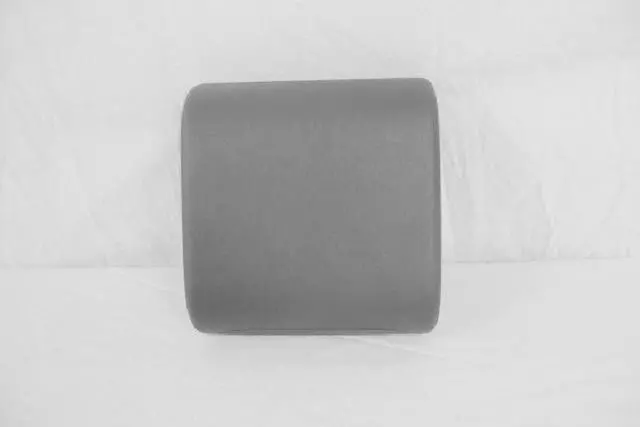 1FL151J3AA - Interior Trim: Rear Headrest for Mopar Image