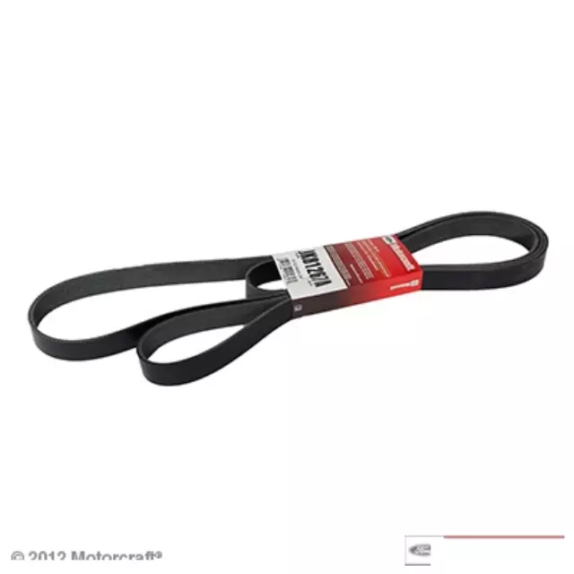 Serpentine Belt - Ford (3C3Z-8620-DB)