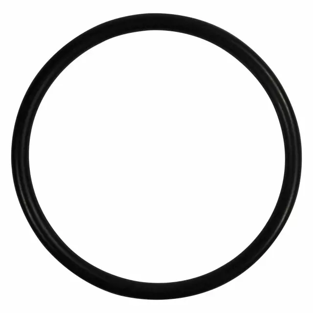 BC3Z00815A - : Thermostat O-Ring for Ford: F-250 Super Duty, F-350 Super Duty, F-450 Super Duty, F-550 Super Duty Image