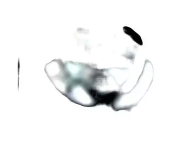 Cover Wheel - Ford (4L3Z1130GA)