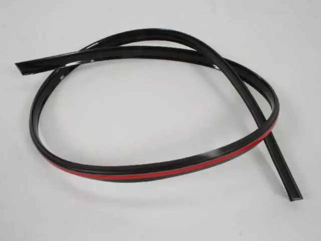 Molding - Mopar (68776174AA)