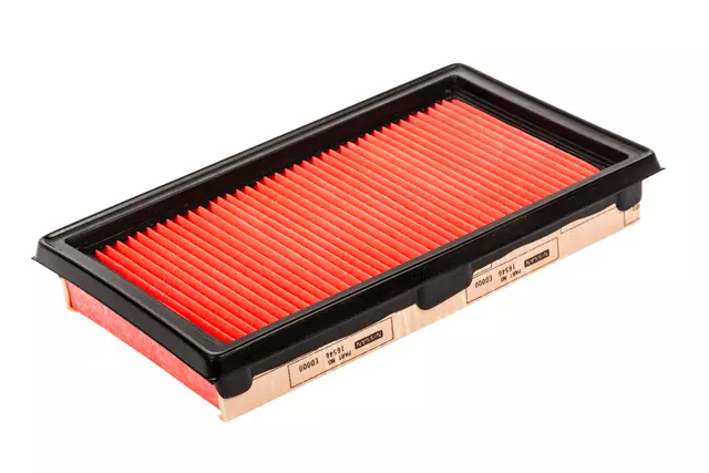 Acdelco™ Air Filter - GM (A3198C)