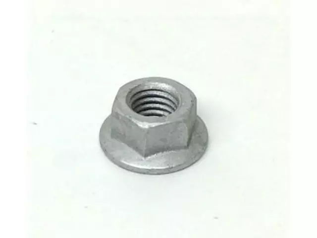 Nut Hex - Ford (N800419-S301)