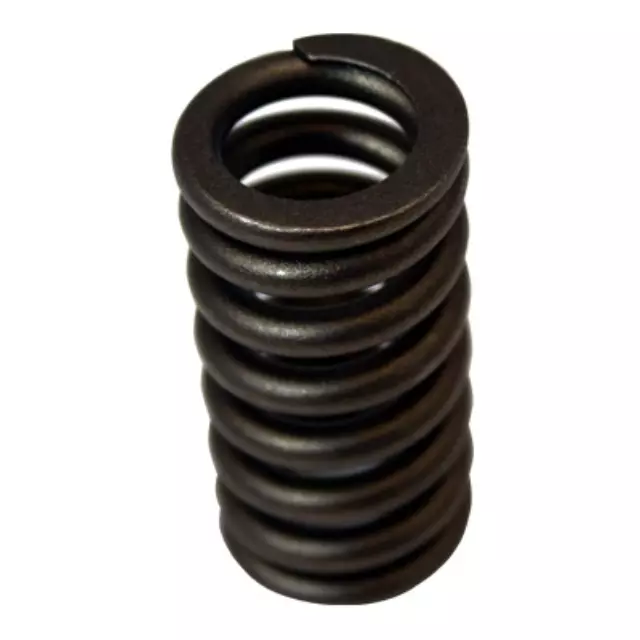2003-2010 Ford Valve Springs - Ford (3C3Z-6513-AA)