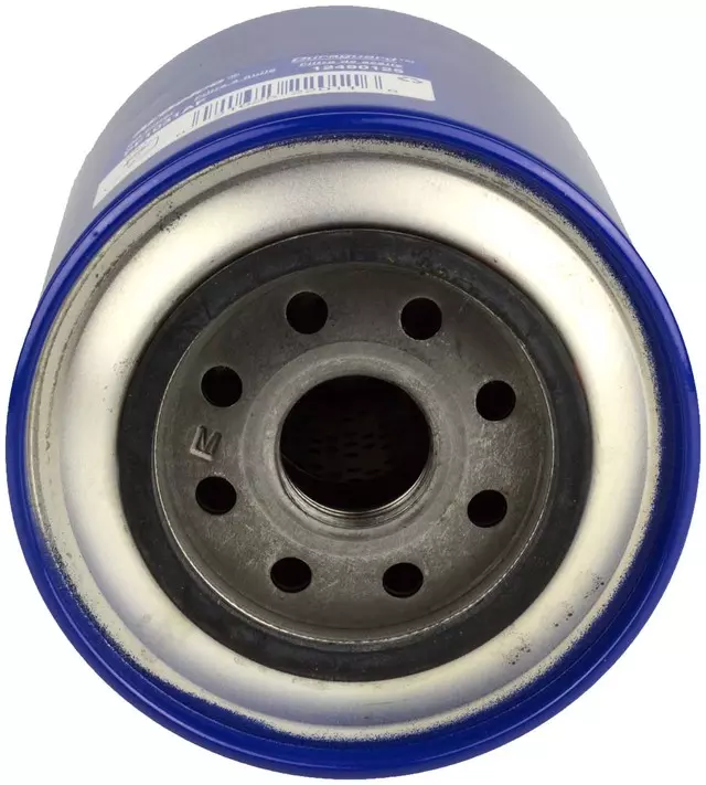 Filter - GM (12490125)