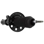 AST12254 - Suspension: Motorcraftâ„¢ Strut for Ford: Special Service Police Sedan, Taurus Image