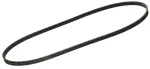 A19506P002 - : Power Steering Belt for INFINITI: Q45 Image