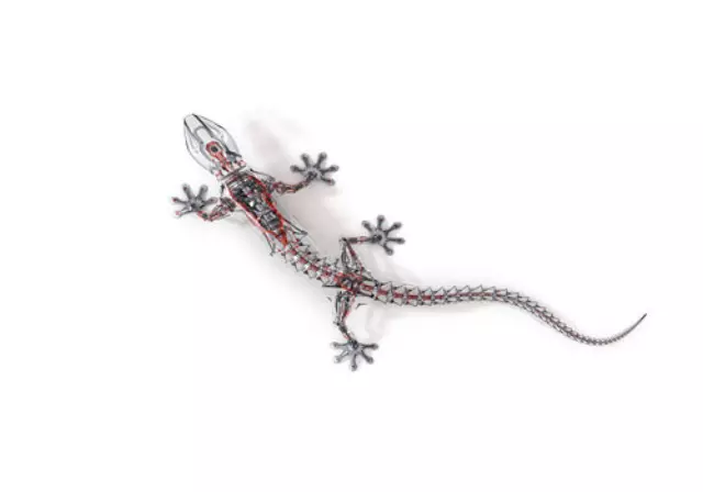 4M0064317 - Exterior: High-Tech Gecko Decal - Small for Audi: A3, A3 Quattro, A3 Sportback e-tron, A4 allroad, A4 Quattro, A5 Quattro, A5 Sportback, A6 allroad, A6 Quattro, A7 Quattro, A7 Sportback, A8 Quattro, Q3, Q5, Q5 Sportback, Q7, Q8, R8, RS3, RS5, RS5 Sportback, RS7, S3, S4, S5, S5 Sportback, S6, S7, S8, SQ5, SQ5 Sportback, SQ7, SQ8, TT Quattro, TT RS Quattro, TTS Quattro Image