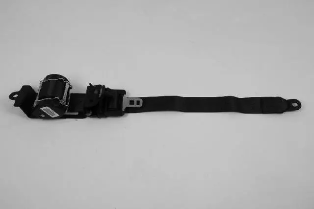 TS771D5AE - Electrical: Outer Belt for Chrysler: Pacifica Image