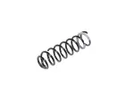 68250233AC - : Front Coil Spring, Right for Jeep: Wrangler Image
