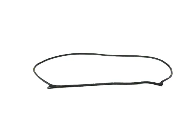 68291602AE - Doors, Door Mirrors and Related Parts: Front Door Mounted Weatherstrip, Right for Mopar Image