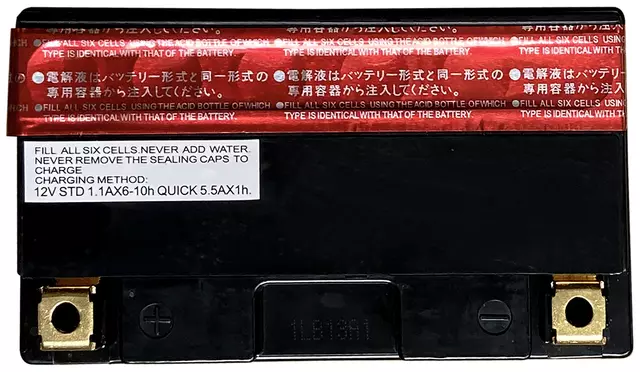 Vehicle Battery - ACDelco (ACTZ14SBS)