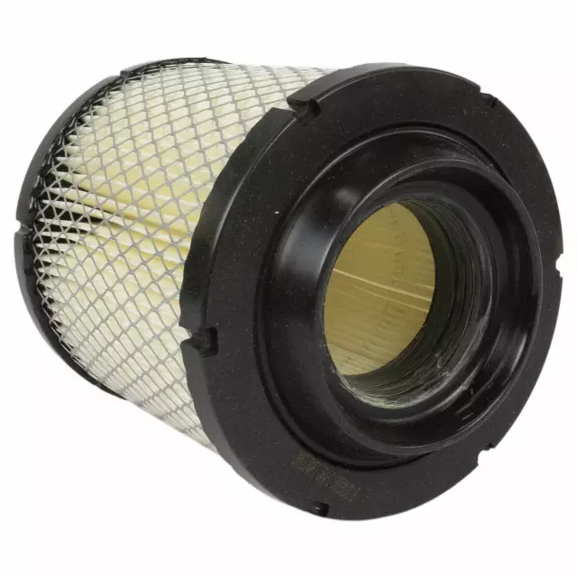 Element Assembly Air Cleaner - Ford (QFA-2)