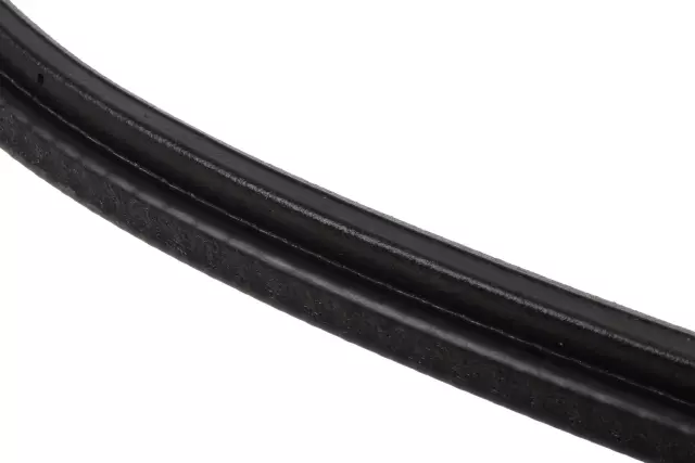 Driver Side Door Weatherstrip - GM (22888213)