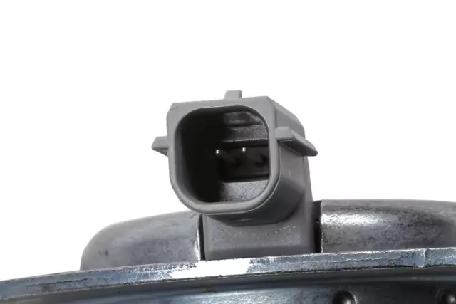 Camshaft Phaser Magnet - GM (12675031)