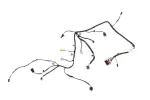 42940384 - : F Harness for GM Image