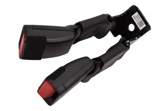 Buckle - GM (84815167)