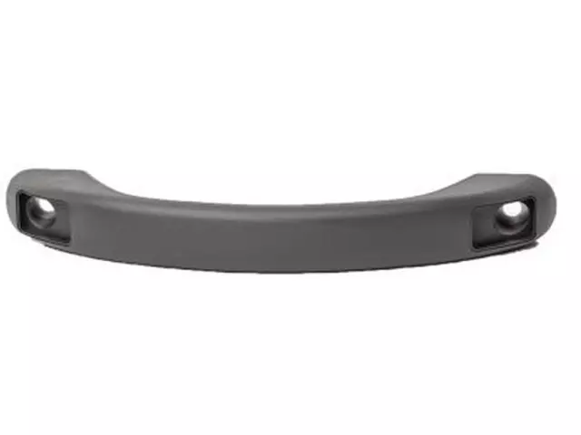 4L5Z1031406AAB - Body: Grip Handle for Ford: Ranger Image