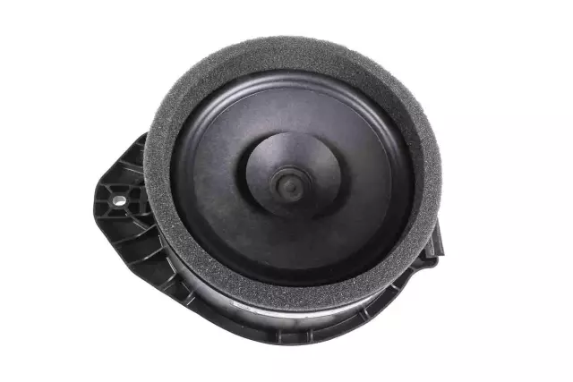 Rear Side Door Speaker - GM (39117928)