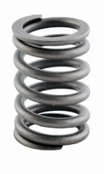 ERV1175 - : Engine Valve Spring for Enginetech Image