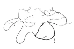 26526569 - : F Harness for GM Image