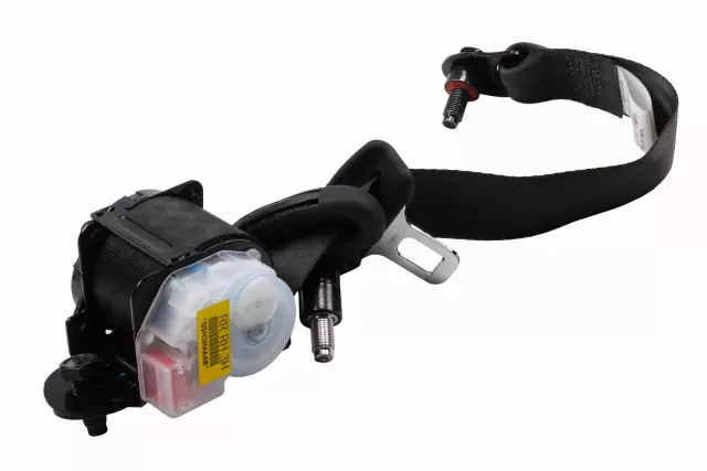 96870520 - : Outer Belt Assembly - Passenger Side (RH) for Chevrolet: Aveo5 | Pontiac: G3 Image